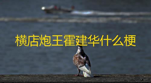 暗区透视辅助工具横店炮王霍建华什么梗